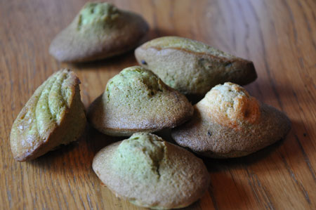Madeleine-the-vert-matcha
